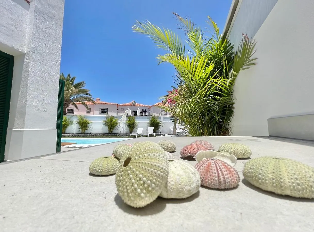 Taucho - Private, Heatable Pool, Bbq, 4 Bedrooms - Vivienda Vacacional Puerto de Santiago  0*, Puerto de Santiago (Tenerife)